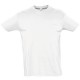 Tee-shirt HOMME col rond
