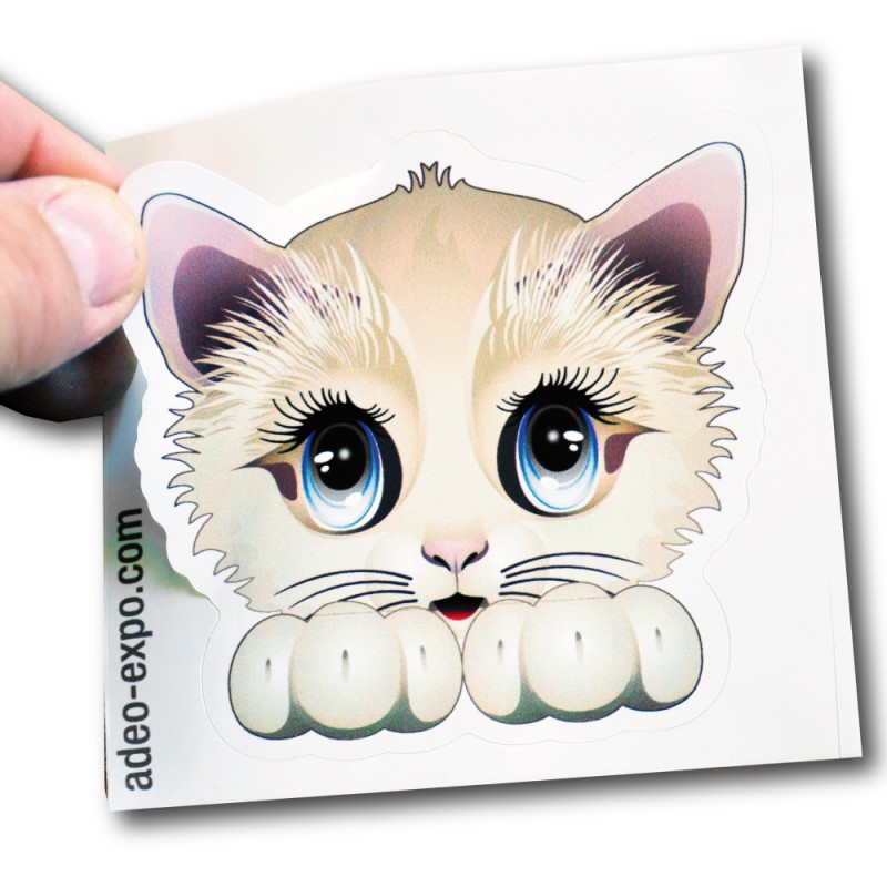 Autocollants ECO – Image 2